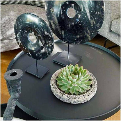Sukkulente - Echeveria Pulidonis in Schale 'Concrete' - Zimmerpflanze - Ø20 cm - ↕5 cm 