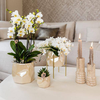Kombi-Angebot Perlen Travertin Töpfe – 3er-Set Ø6/9/12 cm – stilvolle Keramik-Pflanzgefäße für Orchideen, Sukkulenten & Zimmerpflanzen 