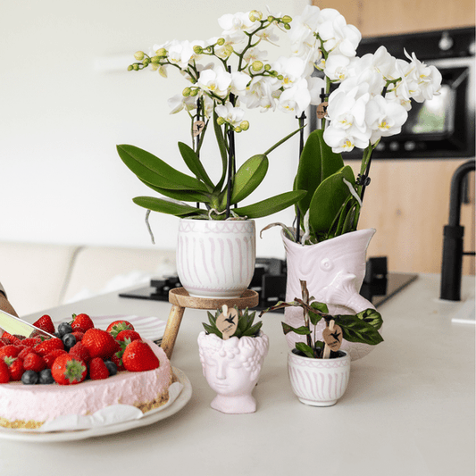 Topf Granada – Rosa – Ø9cm – Dekorativer Keramiktopf – Mediterranes Design – Glasiert & langlebig – Für Zimmerpflanzen & Deko 