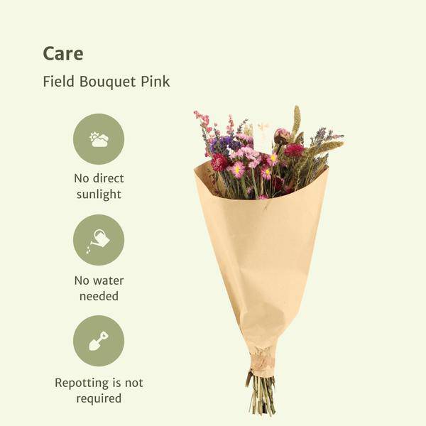 Feldblumenstrauß Rosa - Trockener Strauß - 35cm - 12 Stück 
