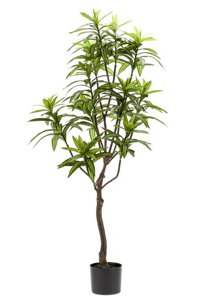 Kunstpflanze - Dracaena - Drachenbaum - 130 cm 