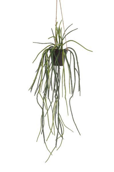Kunstpflanze - Rhipsalis - Korallenkaktus - 85 cm 