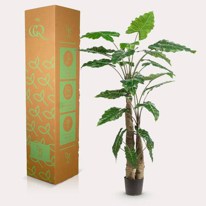 Kunstpflanze - Alocasia - 180 cm 