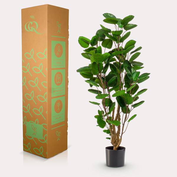 Kunstpflanze - Polyscias - Aralia - 105 cm 