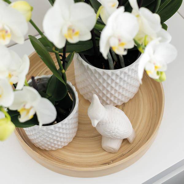 Deko-Skulptur Kakadu – Weiß – H12cm – Ornament aus Polystone – Vogel auf Stab – Dekofigur für Zimmerpflanzen & Blumentöpfe 