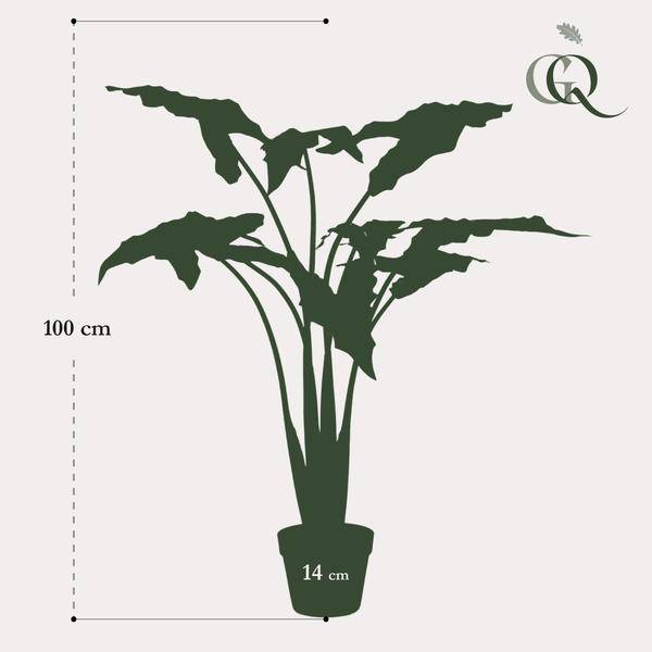 Kunstpflanze - Alocasia Frydek - 120 cm 