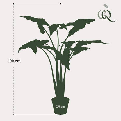Kunstpflanze - Alocasia Frydek - 120 cm 