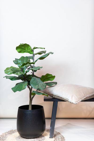 Kunstpflanze - Ficus Lyrata - Tabakpflanze - 90 cm 
