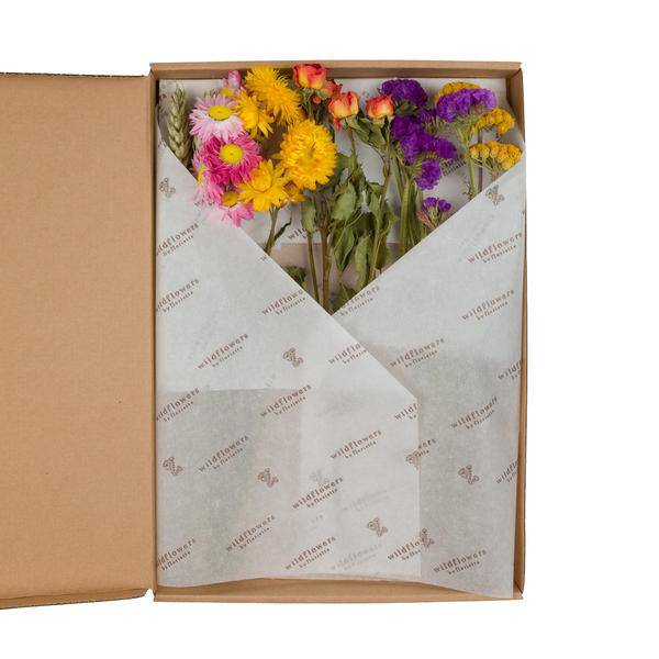 Getrocknete Blumen – Letterbox Blumen – Multi – 5 Sträuße – ↕30cm – Handgebunden & nachhaltig – Dekoration & Geschenkidee 