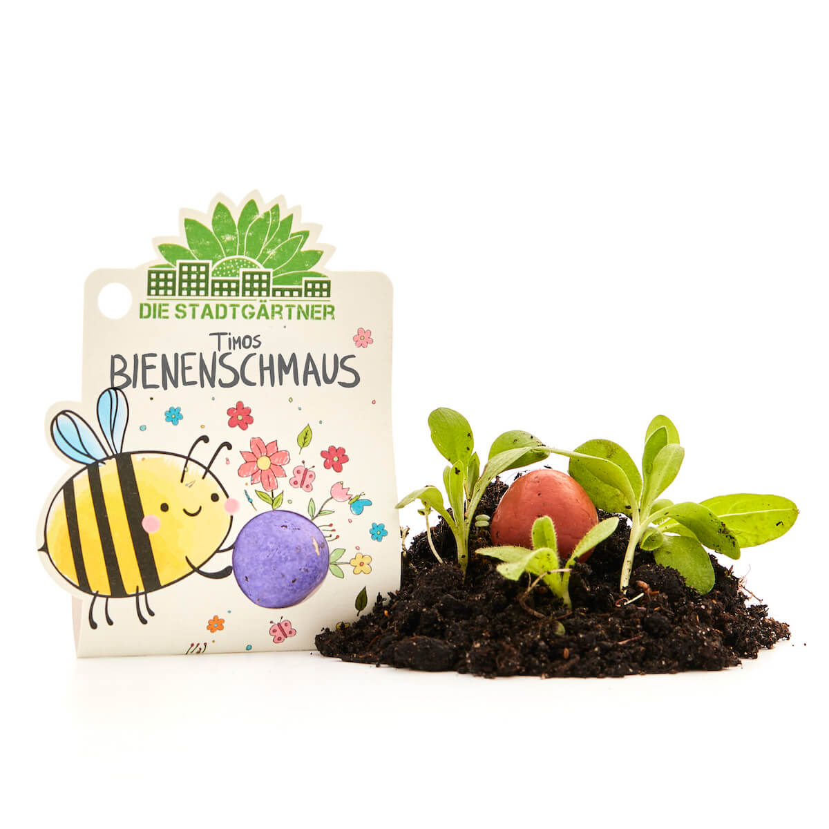1 Blumenmurmel "Timos Bienenschmaus" 