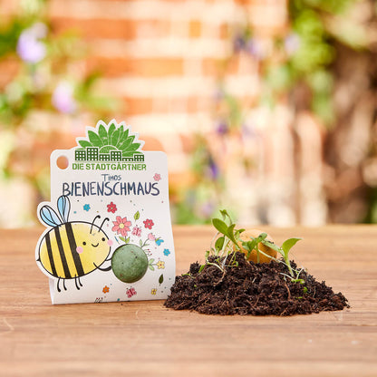 1 Blumenmurmel "Timos Bienenschmaus" 